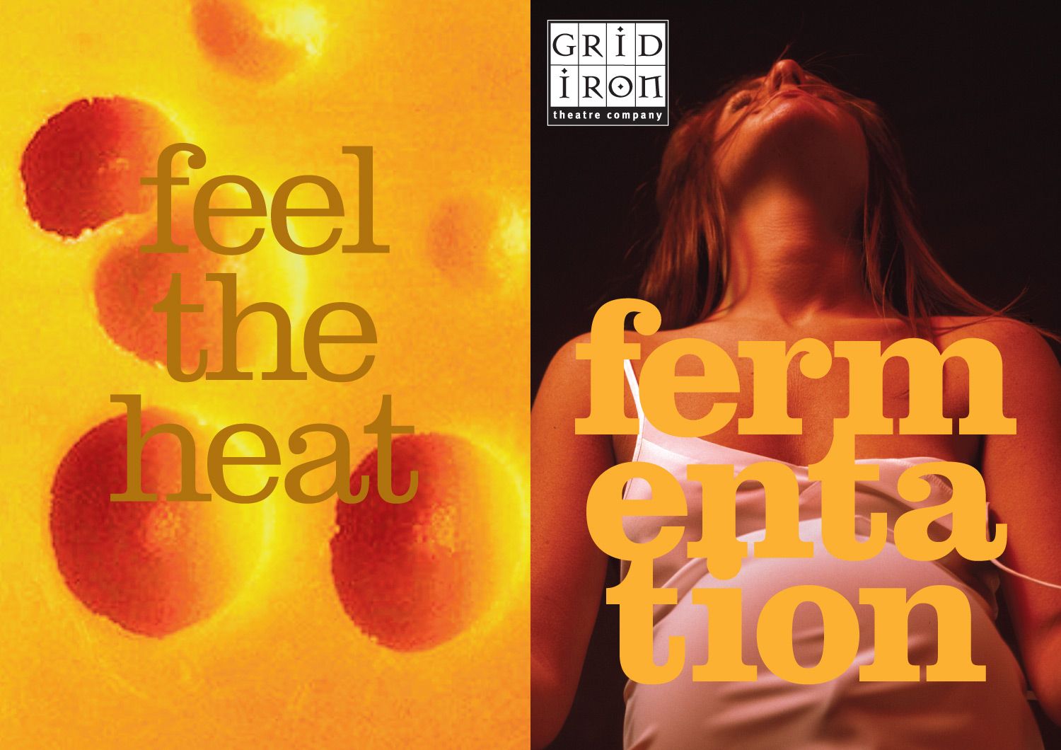 Fermentation - Programme