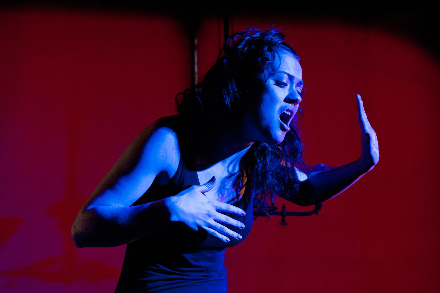 Barflies (2012) - photo