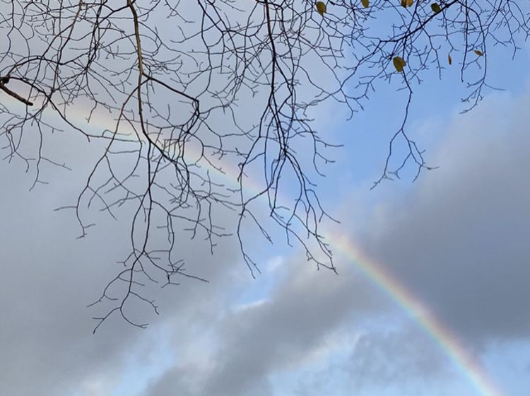 And If Not Now When - image